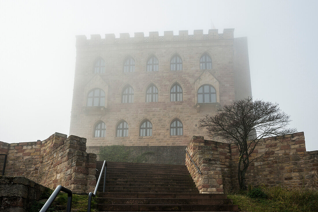 Hambach Castle in the fog, Hambach, Neustadt an der Weinstrasse, Palatinate Forest, Palatinate, Rhineland-Palatinate, Germany