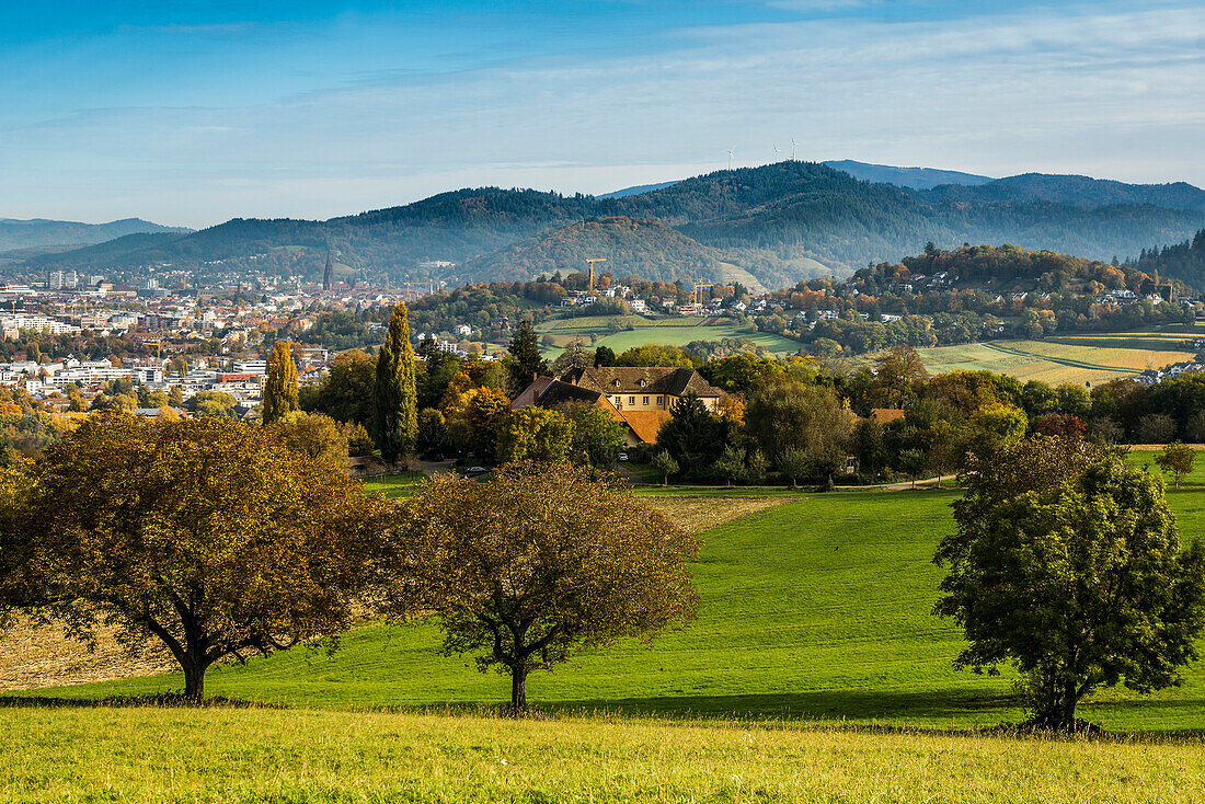 Panorama with Jesuit Castle, Freiburg im Breisgau, Black Forest, Baden-Württemberg, Germany