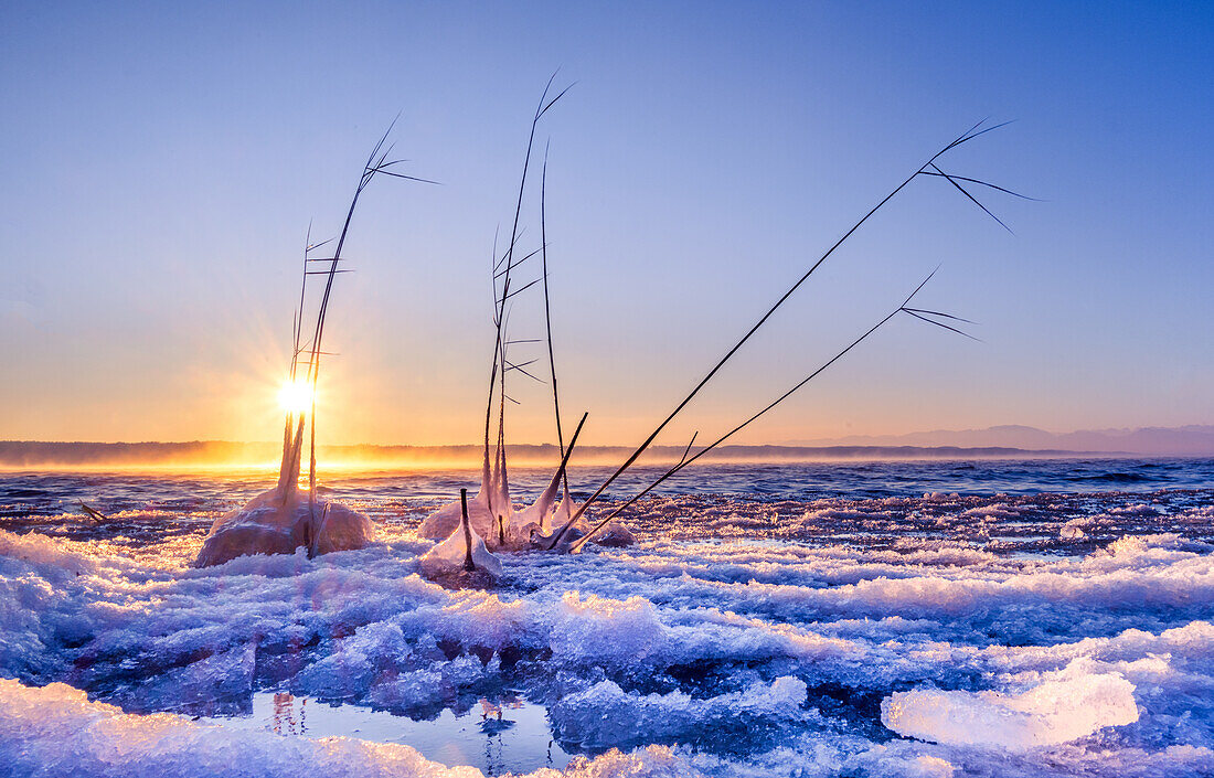 Winter at Lake Starnberg, Feldafing, Germany