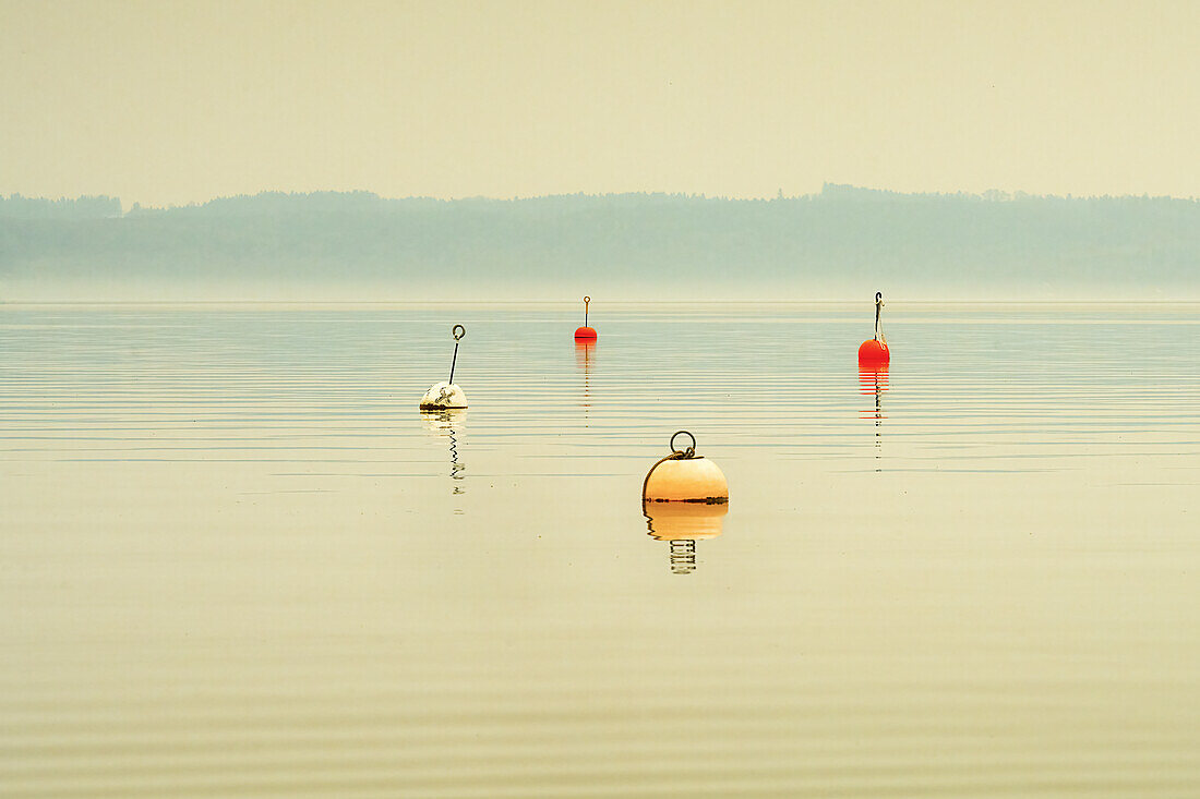Winter at Lake Starnberg, buoys, Unterzeismering, Germany