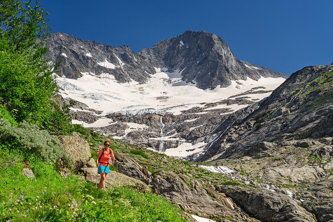 Frau beim Bergsteigen steigt von Greizer Hütte ab, Westliche Floitenspitze im Hintergrund, Floitental, Naturpark Zillertaler Alpen, Zillertaler Alpen, Tirol, Österreich