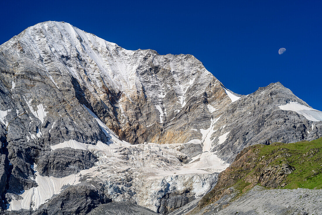 Königspitze, Ortler Group, Stelvio National Park, South Tyrol, Italy