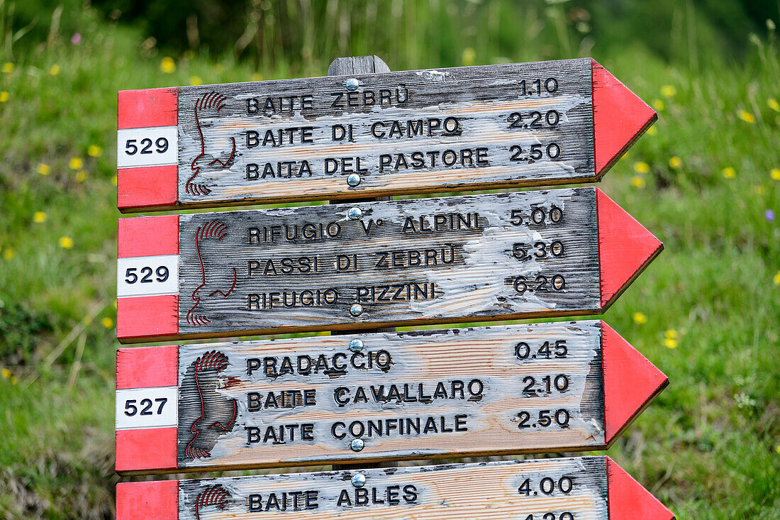 Signpost in the Ortler Group, Ortles Group, Stelvio National Park, Lombardy, Italy