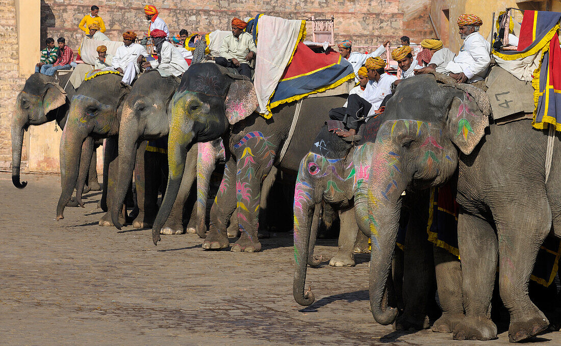 Amber Fort Elefanten, Jaipur, Indien