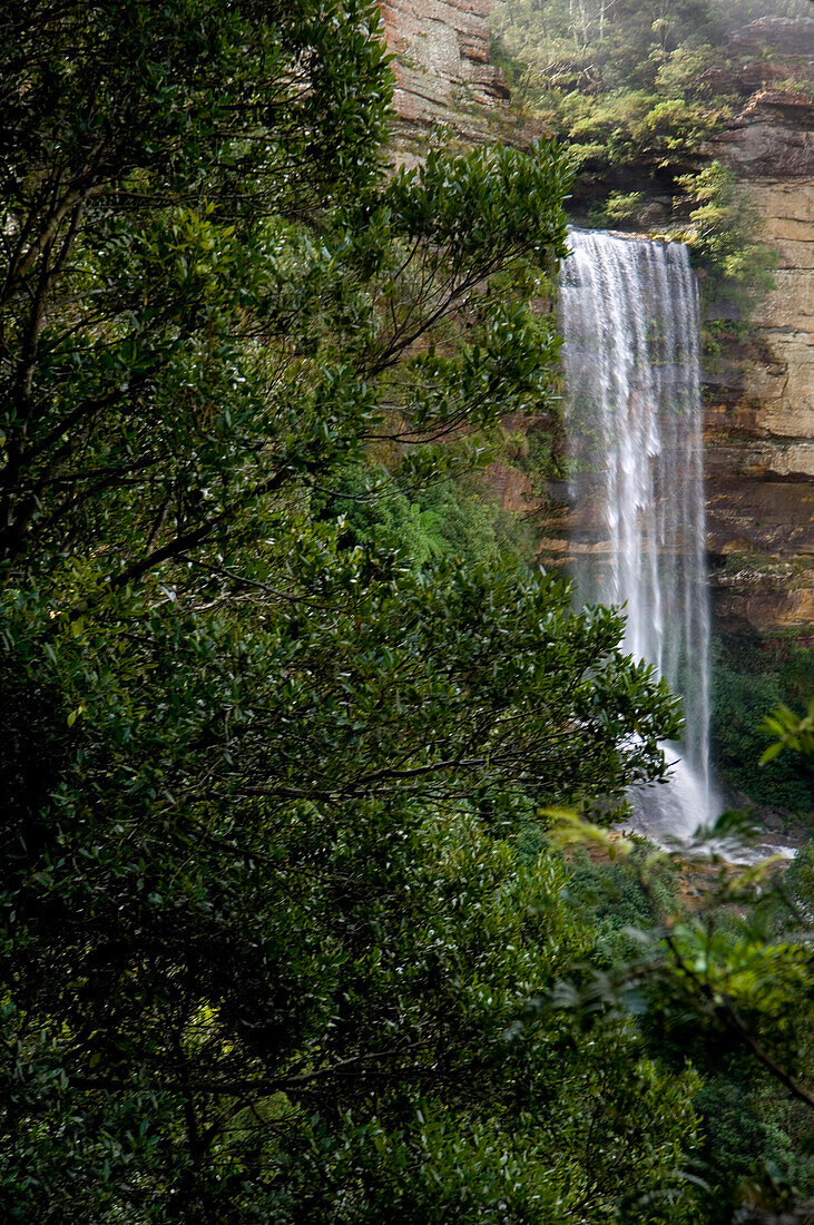 Katoomba Falls, Katoomba, Blue Mountains, NSW, Australien