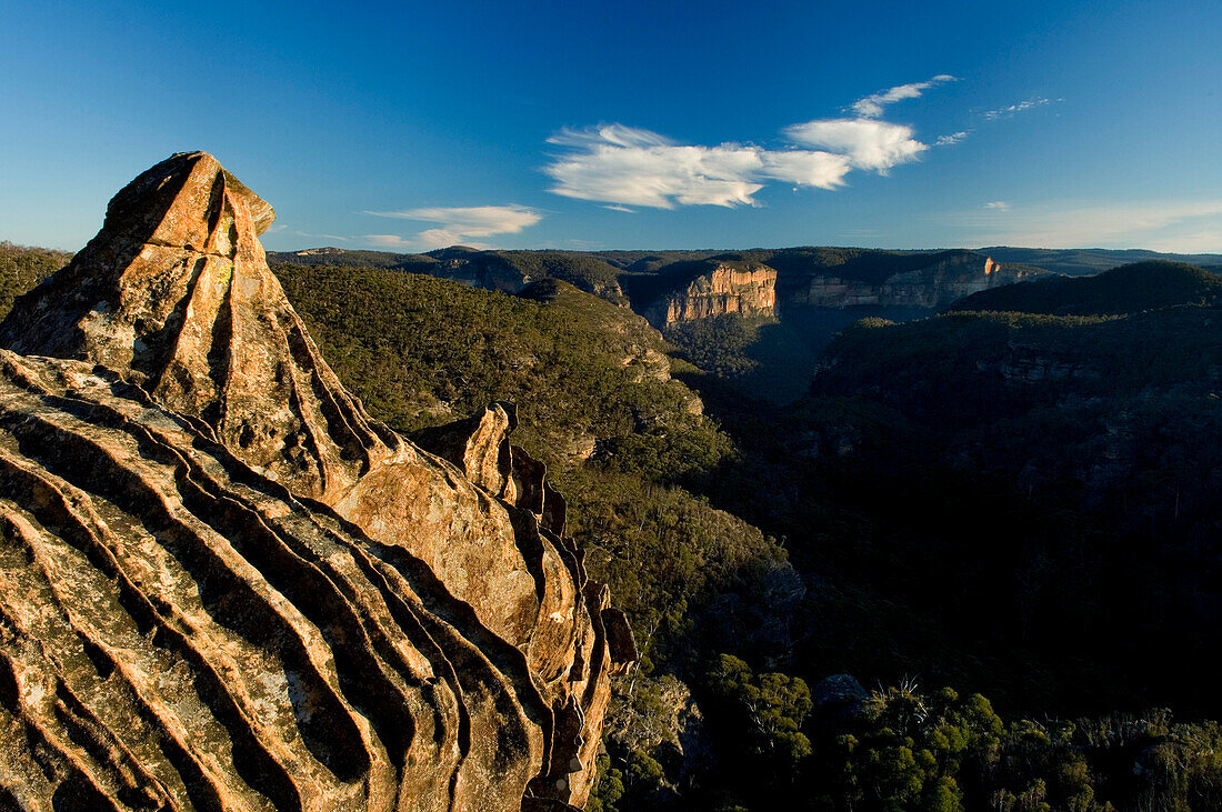 Ironstone rocks, Grose Valley, Blue Mountains National Park, NSW, Australia