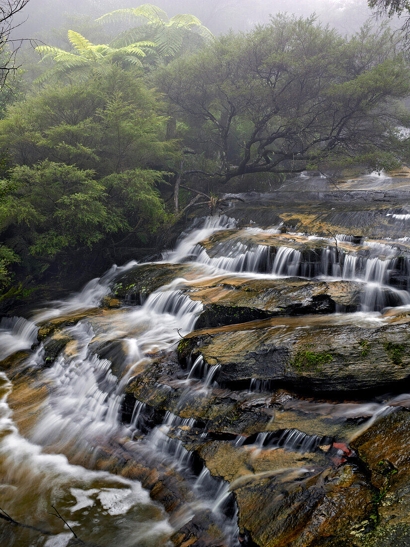 Leura Cascades, Blue Mountains, NSW, Australia