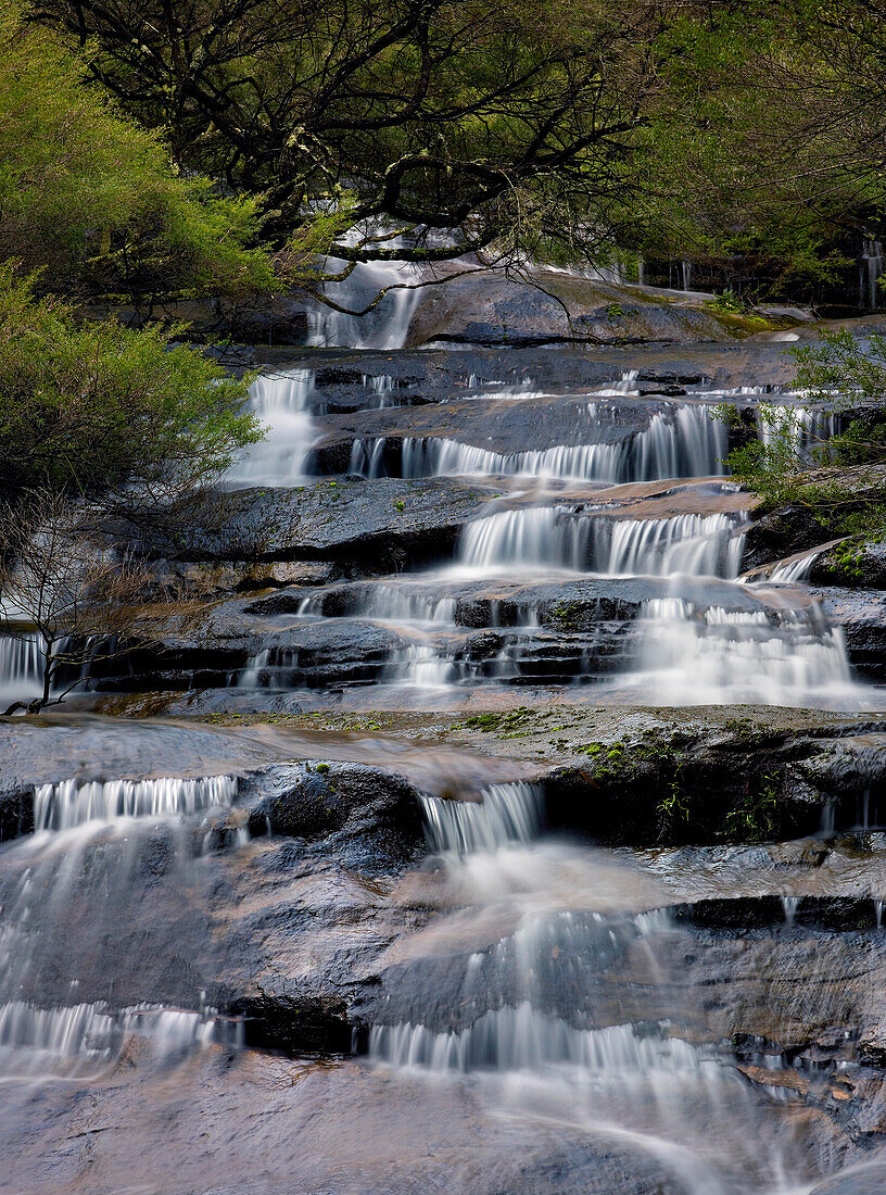 Leura Cascades, Blue Mountains, NSW, Australia