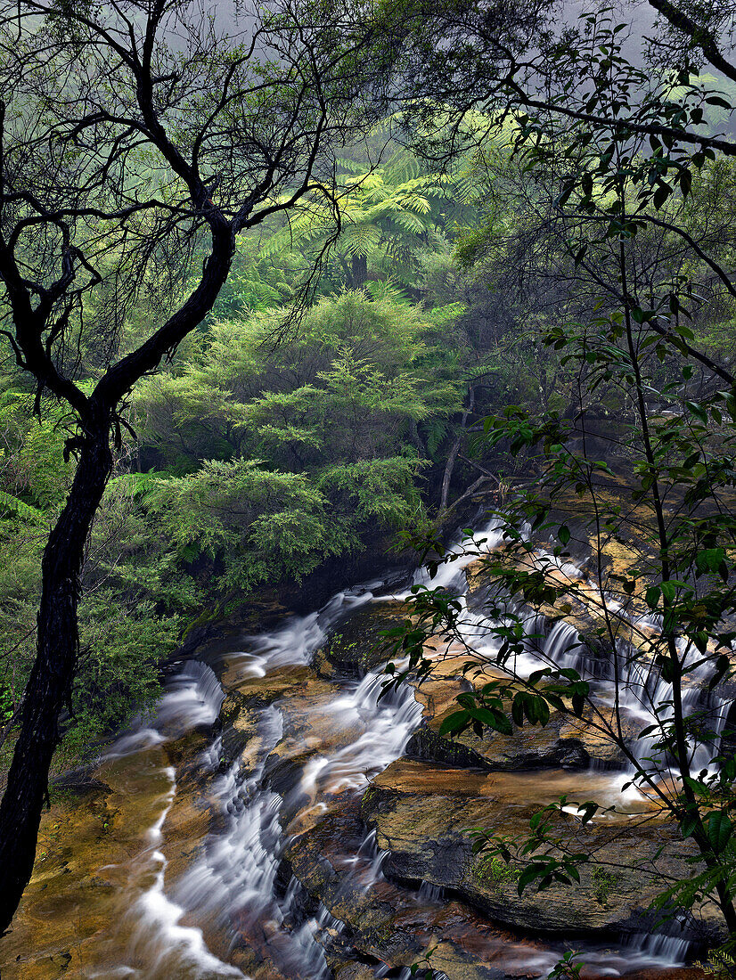 Leura-Kaskaden, Blue Mountains, NSW, Australien