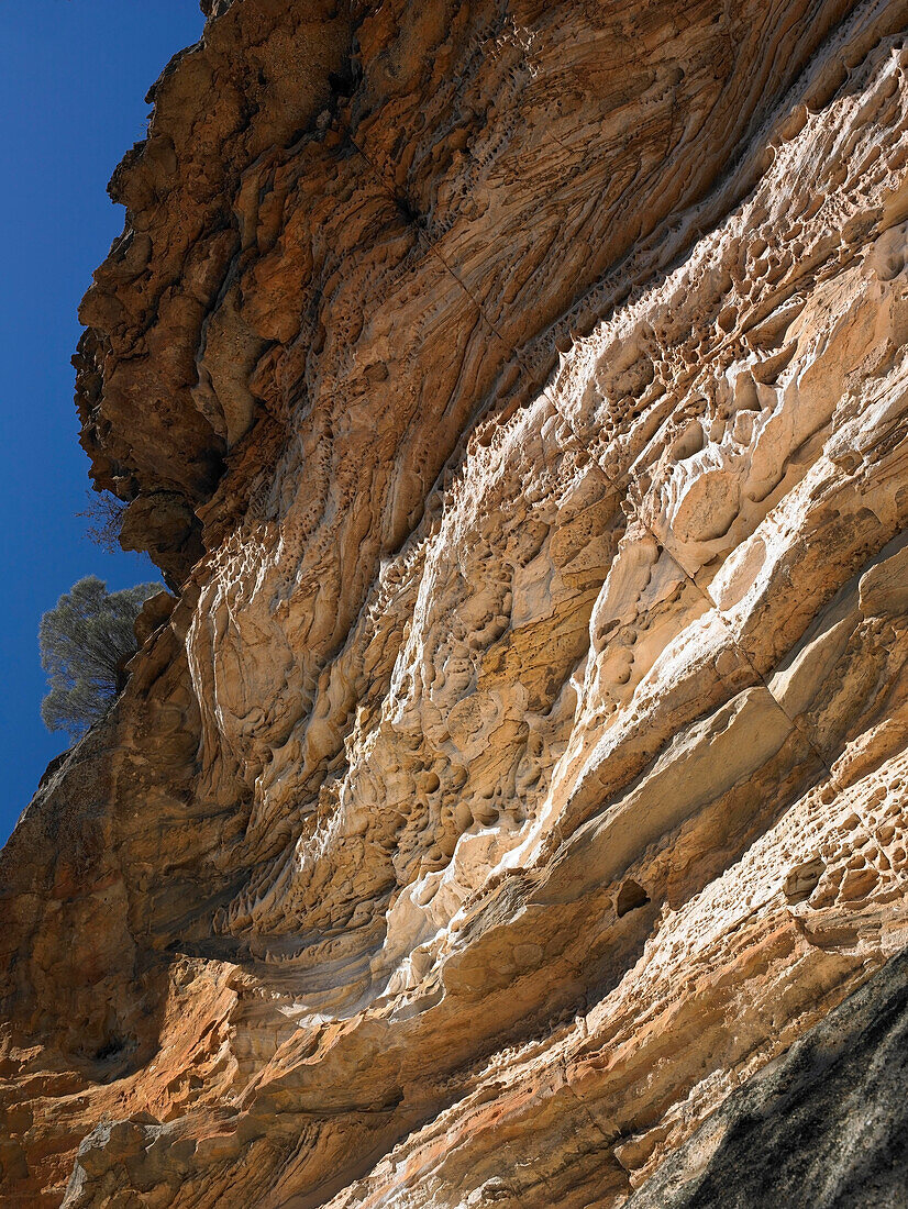 Welle erodierte Felsen, Blue Mountains, NSW, Australien