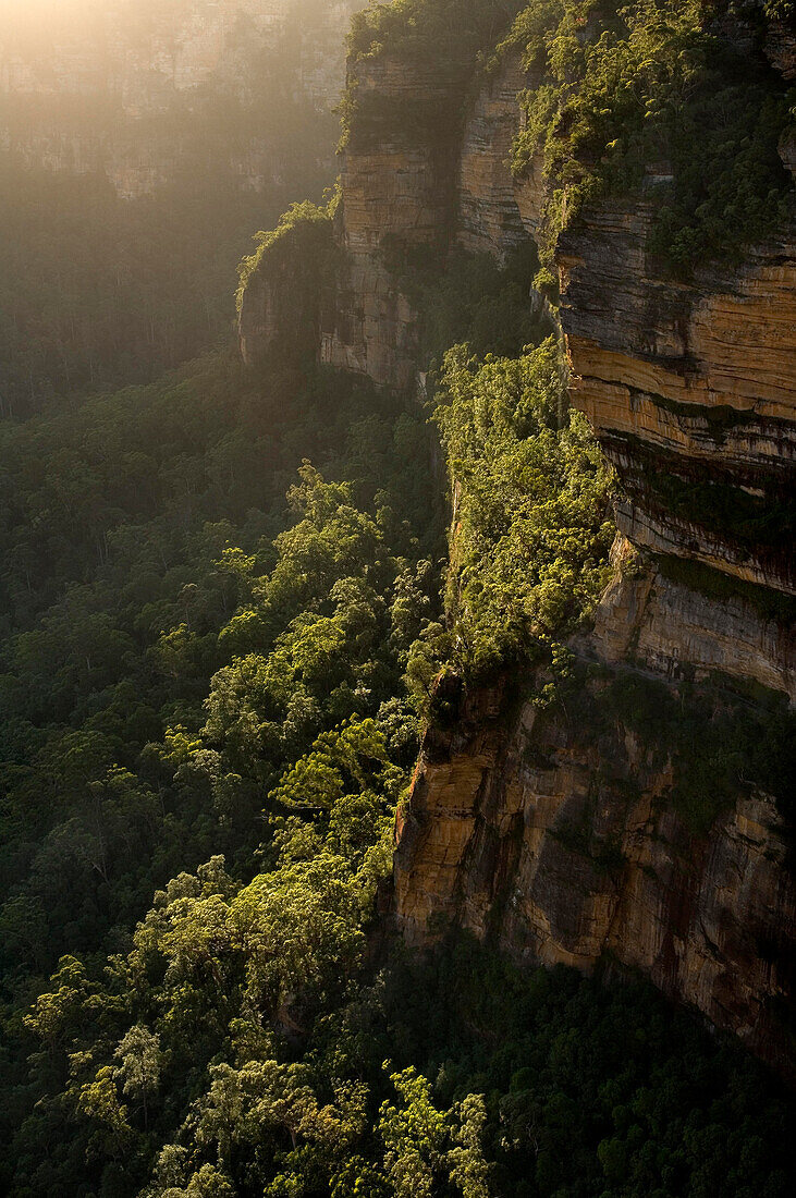 National Pass Heritage Walk, Blue Mountains, NSW, Australien