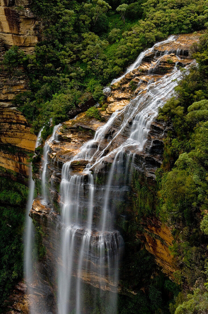 Wentworth Falls, Blue Mountains, NSW, Australien