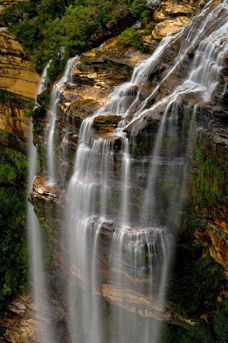 Wentworth Falls, Blue Mountains, NSW, Australia