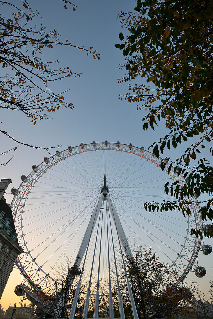 Millennium Wheel in der Abenddämmerung, London