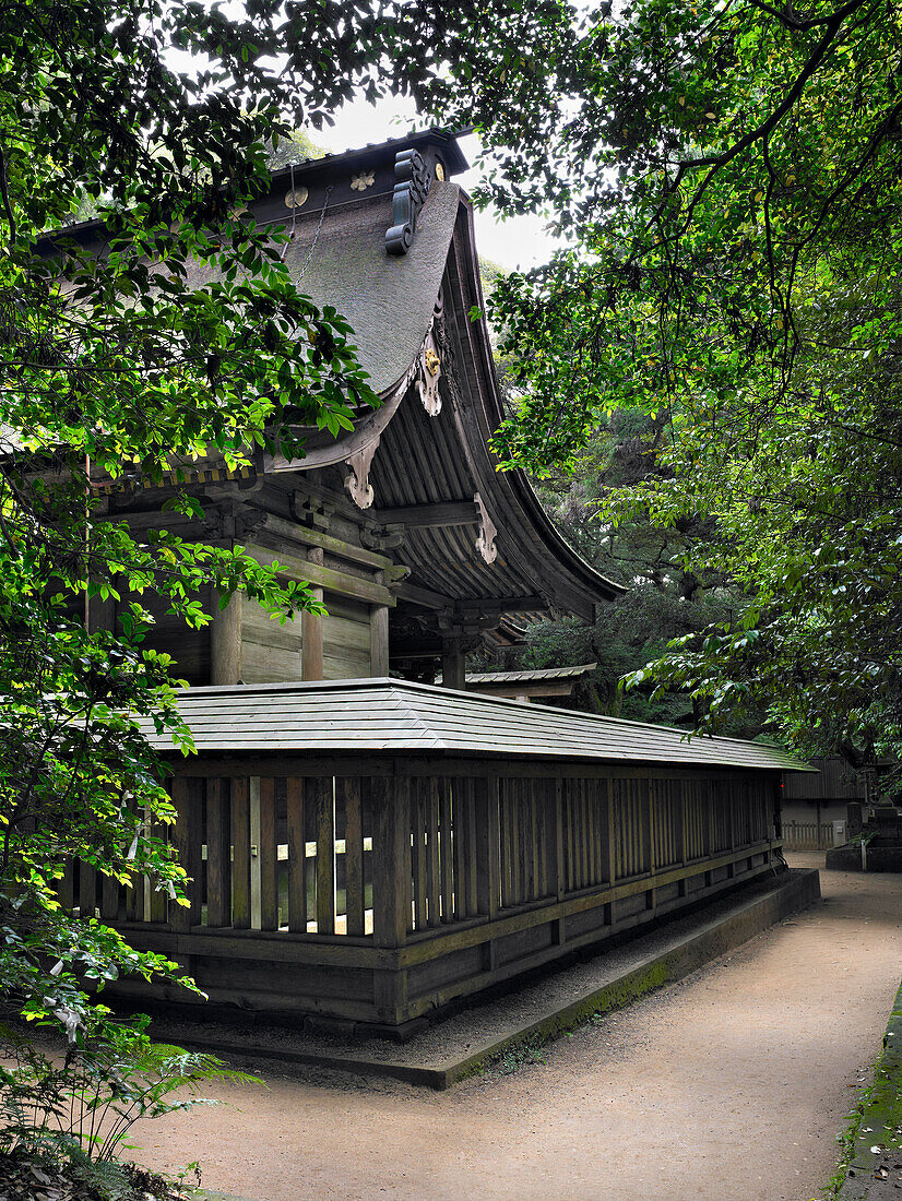 Forest Shinto Shrine, Kashima Jingu, Japan