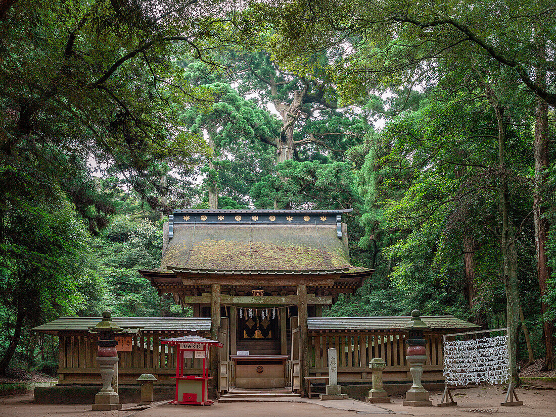 Forest Shinto Shrine, Kashima jingu, Japan