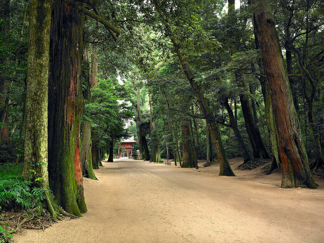 Romon Gate, Kashima Jingu shrine and forest, Kashima, Japan
