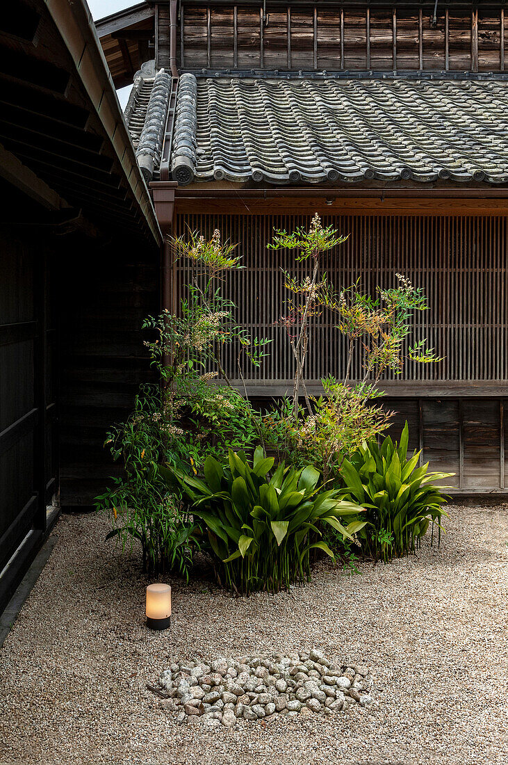 Courtyard plants, Sawara, Japan