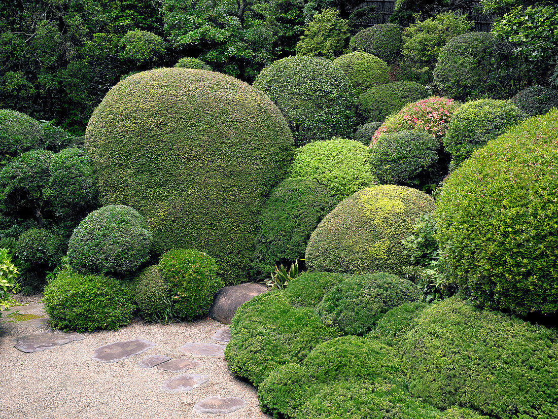 Gärten des Choshouji-Tempels, Itako, Iberaki, Japan