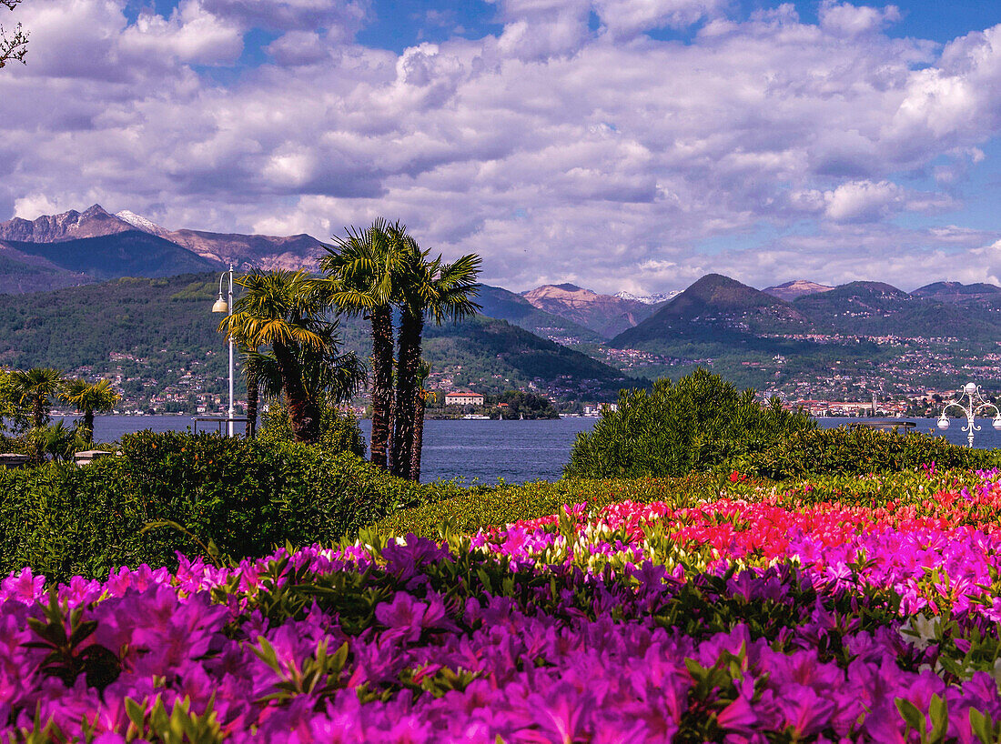Blick von der Seepromenade in Stresa auf den Lago Maggiore und die Alpen, Piemont, Italien