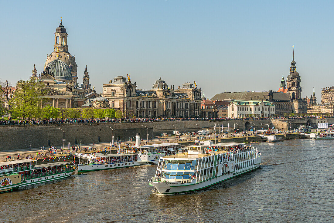 Modern cruise ship on the Elbe during the annual fleet parade in Dresden, Saxony, Germany