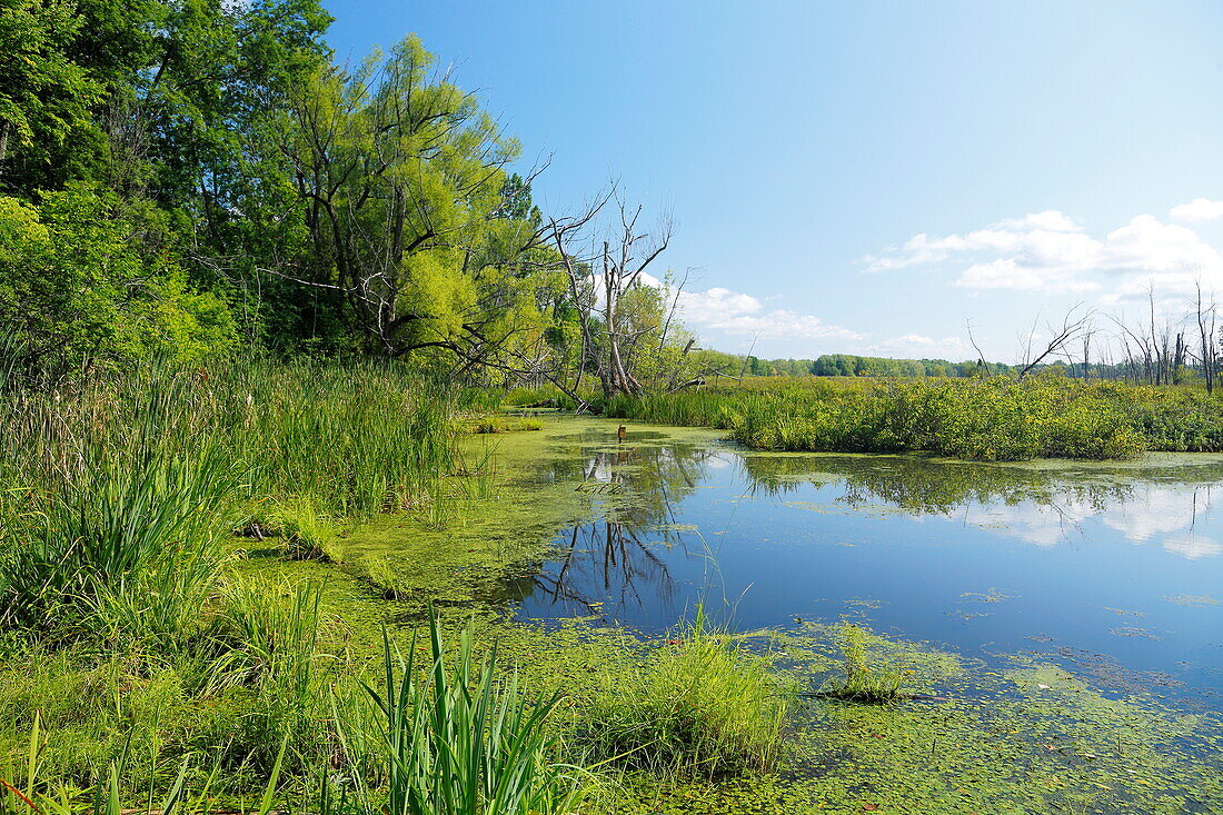 On the Chateauguay River