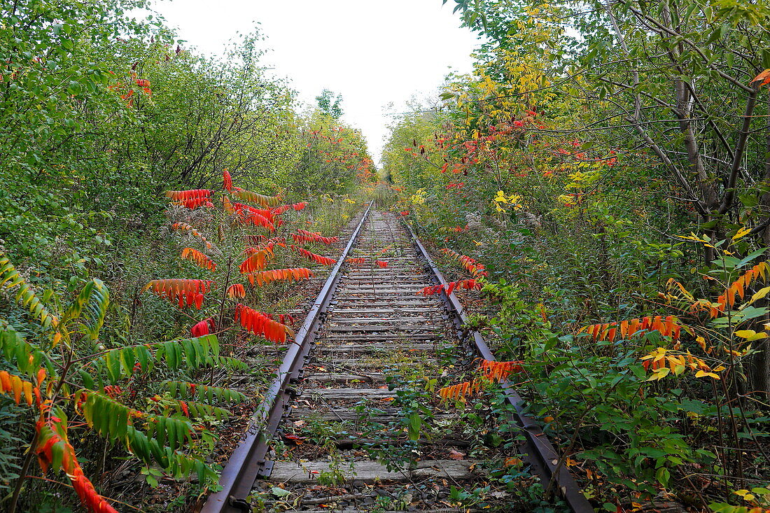 Abandoned railway line
