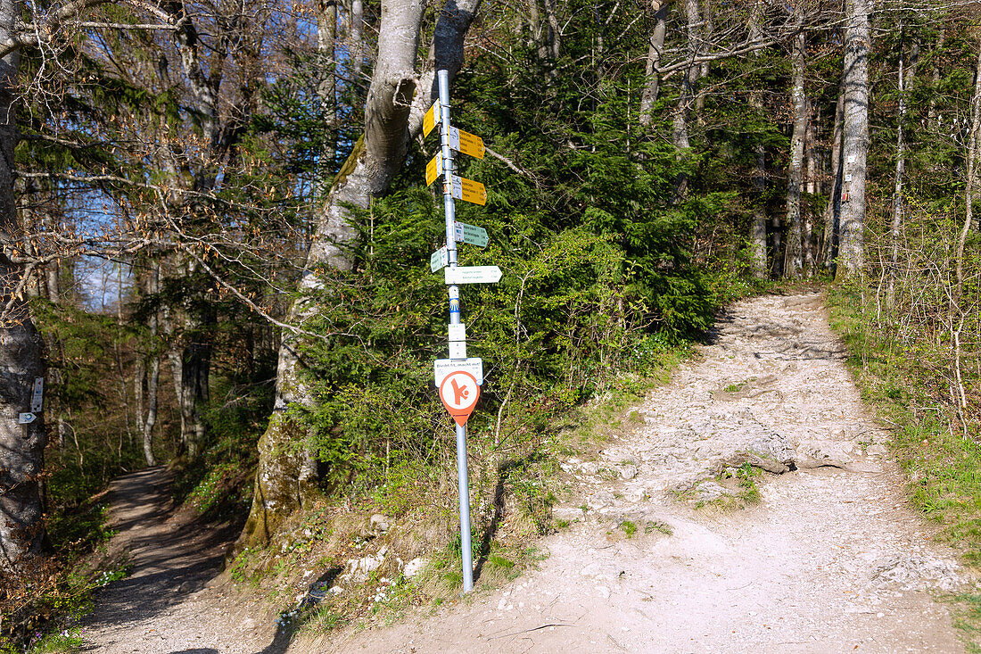 Inzigkofen, Wegweiser am Wanderweg im Fürstlichen Park Inzigkofen, in der Schwäbischen Alb, Baden-Württemberg, Deutschland