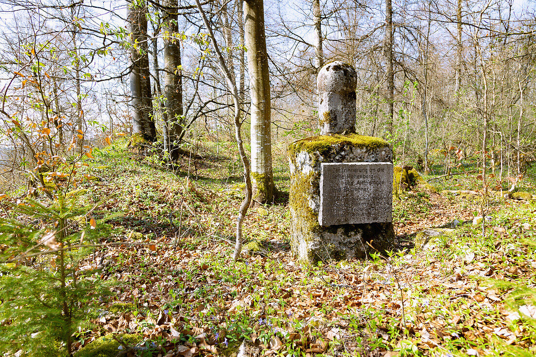 Fridingen an der Donau, Ruine Altfridingen, Erinnerungsstein über Siedlungsresten der mittelalterlichen Stadt Altfridingen, Naturpark Obere Donau in der Schwäbischen Alb, Baden-Württemberg, Deutschland