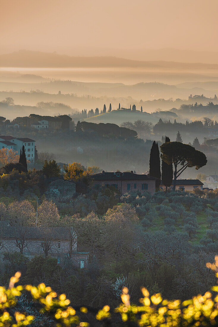 From the small park Orto Dei Tolomei there are beautiful views of the old town and landscapes of the plain, Siena, Tuscany, Italy, Europe