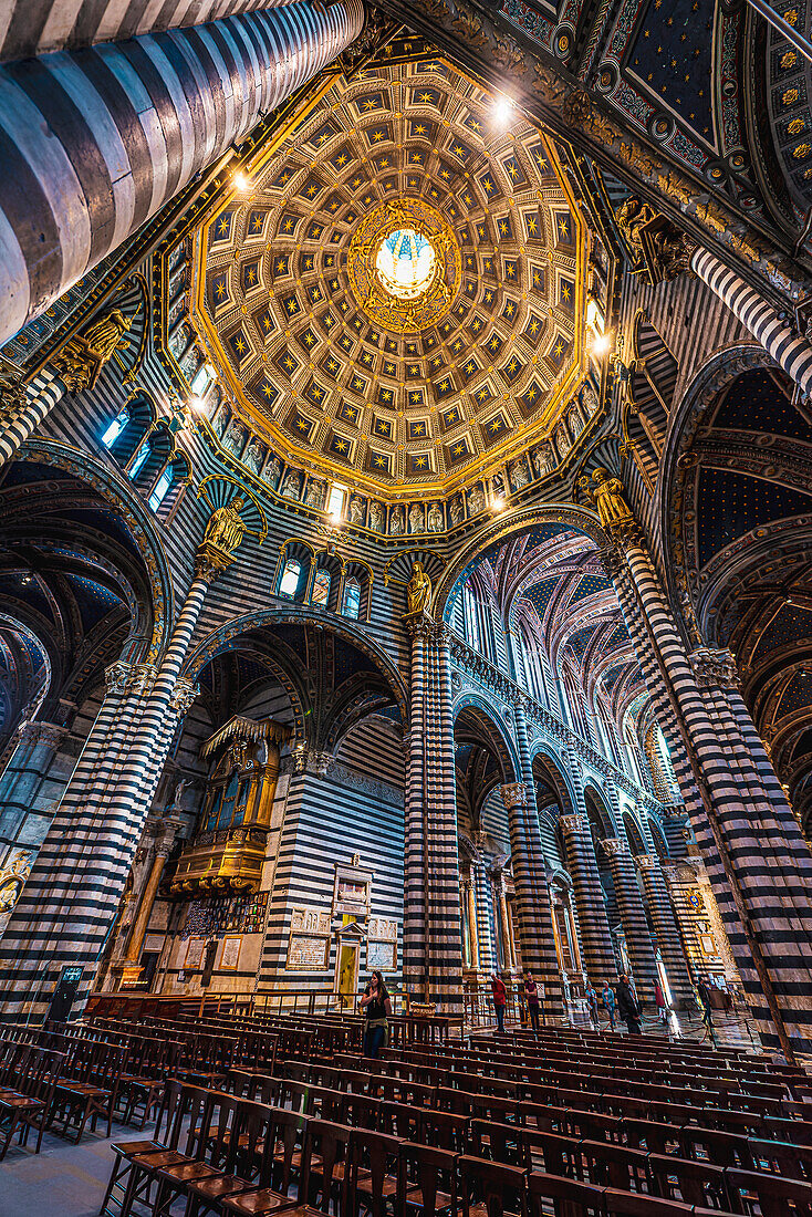 View of Dome of Santa Maria Assunta Cathedral from inside, Siena, Tuscany, Italy, Europe