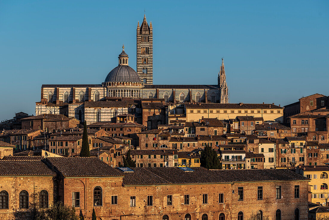 Panorama of the old town and Cathedral of Santa Maria Assunta, Siena, Tuscany, Italy, Europe