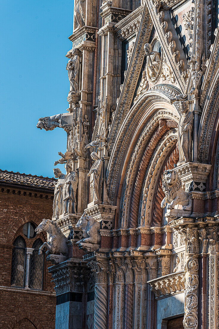 Dom Santa Maria Assunta, Fassade, Siena, Toskana, Italien, Europa