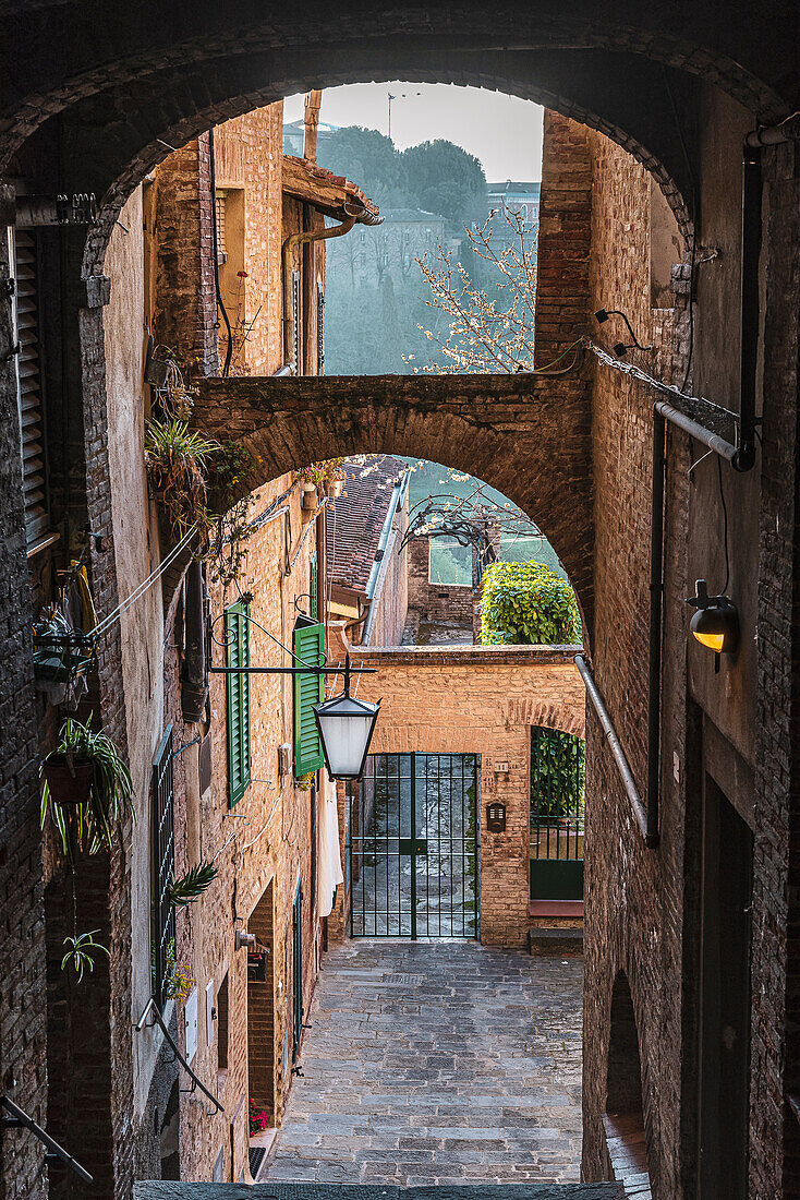 View of alley in the old town, Siena, Tuscany, Italy, Europe