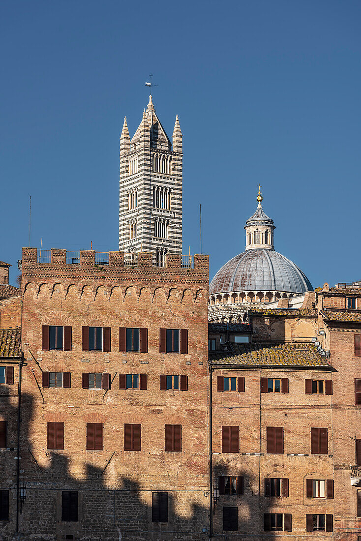 View of the bell tower of the Duomo, Siena, Tuscany, Italy, Europe