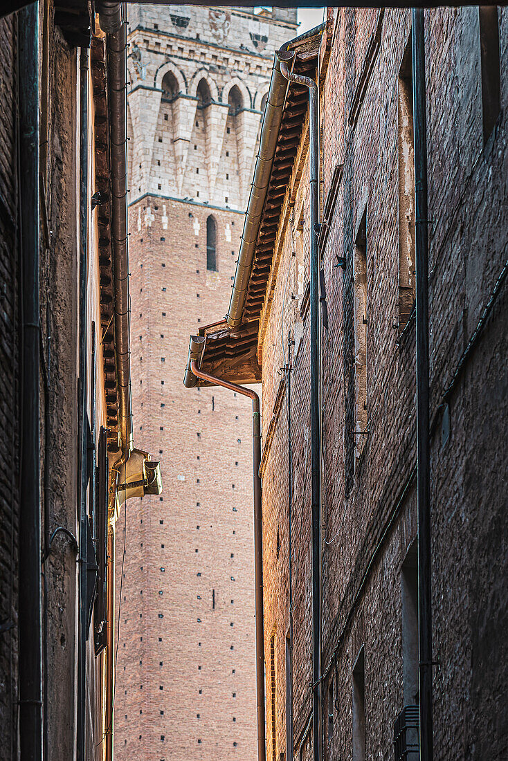 View through alley to Torre del Mangia tower, Palazzo Pubblico town hall, Siena, Tuscany, Italy, Europe