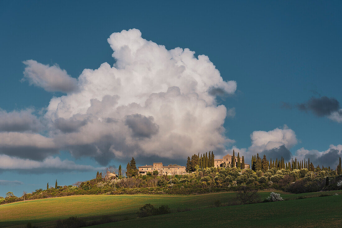 Landscape near Pienza, Val d'Orcia, Province of Siena, Tuscany, Italy, UNESCO World Heritage, Europe