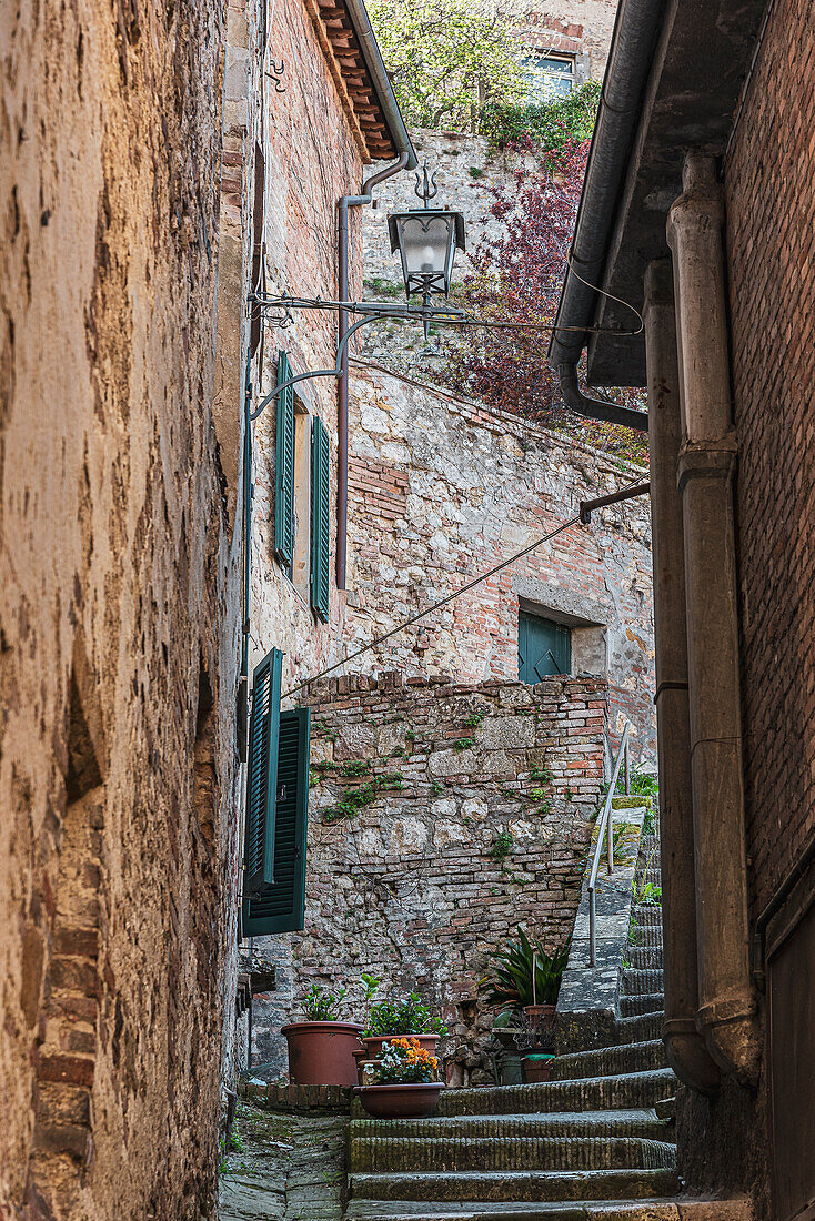 In der Altstadt von Pienza, Val d'Orcia, Provinz Siena, Toskana, Italien, UNESCO Welterbe,  Europa