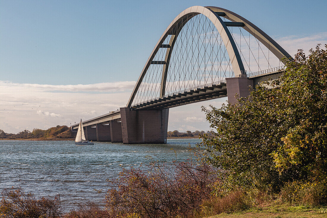 Blick auf die Fehmarnsundbrücke. Unter der Brücke fährt ein Segelschiff, Fehmarn, Ostsee, Ostholstein, Schleswig-Holstein, Deutschland, Europa
