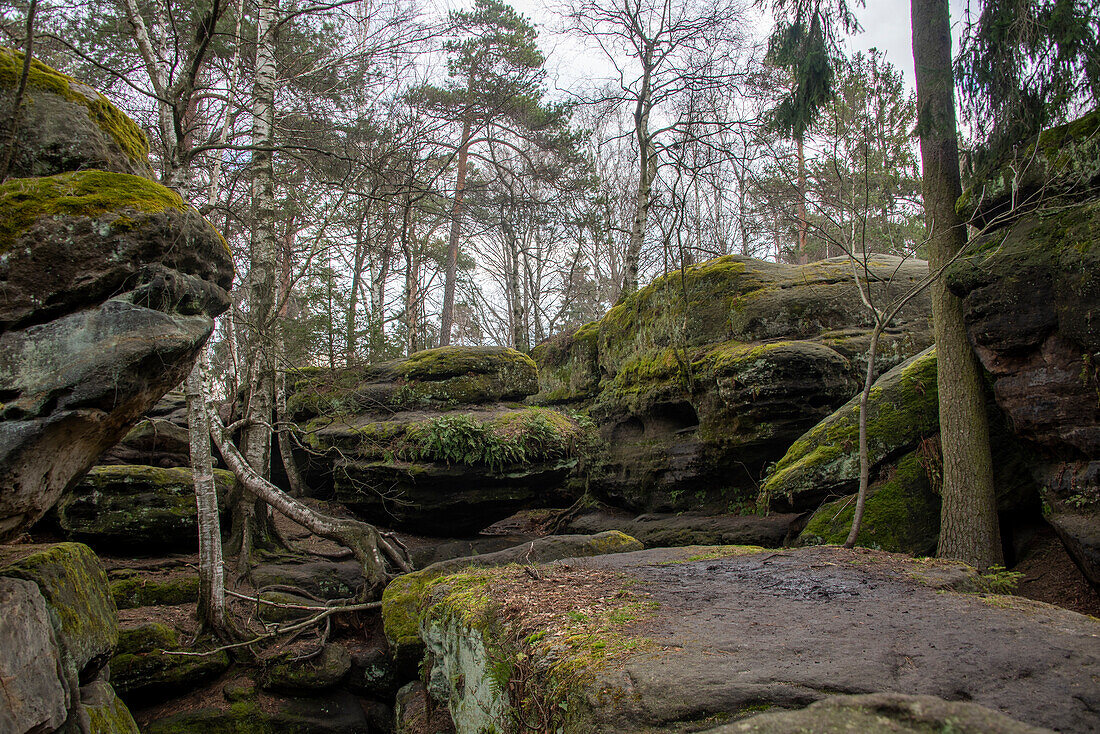 Felsenlabyrinth, Elbsandsteingebirge, Langenhennersdorf, Sachsen, Deutschland