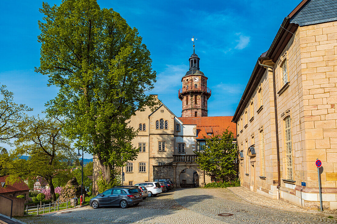 Natural History Museum Schloss Bertholdsburg in Schleusingen, Thuringia, Germany