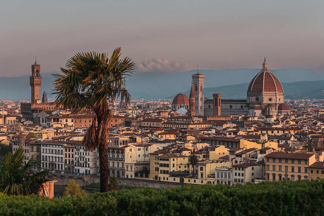 Palme im Vordergrund, Blick auf Dom, Skyline, Stadtpanorama Florenz vom Piazzale Michelangelo, Toskana, Italien, Europa