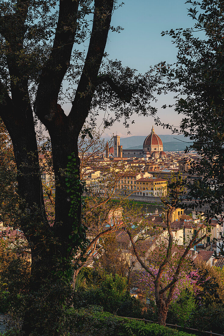 View from the rose garden Giardino delle Rose, Florence city panorama below from Piazzale Michelangelo, Tuscany, Italy, Europe