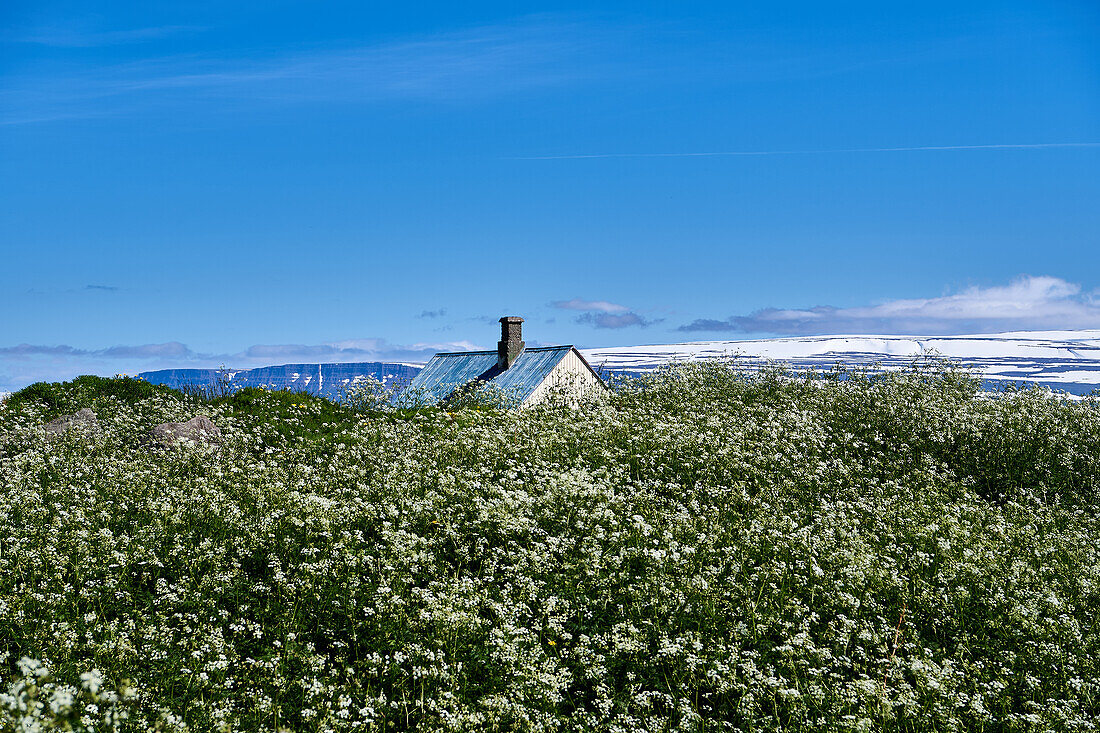 Haus Hlíðarvegur, Ísafjörður, Island