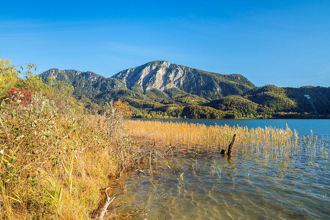 Blick über den Kochelsee zum Jochberg, Schlehdorf, Oberbayern, Bayern, Deutschland