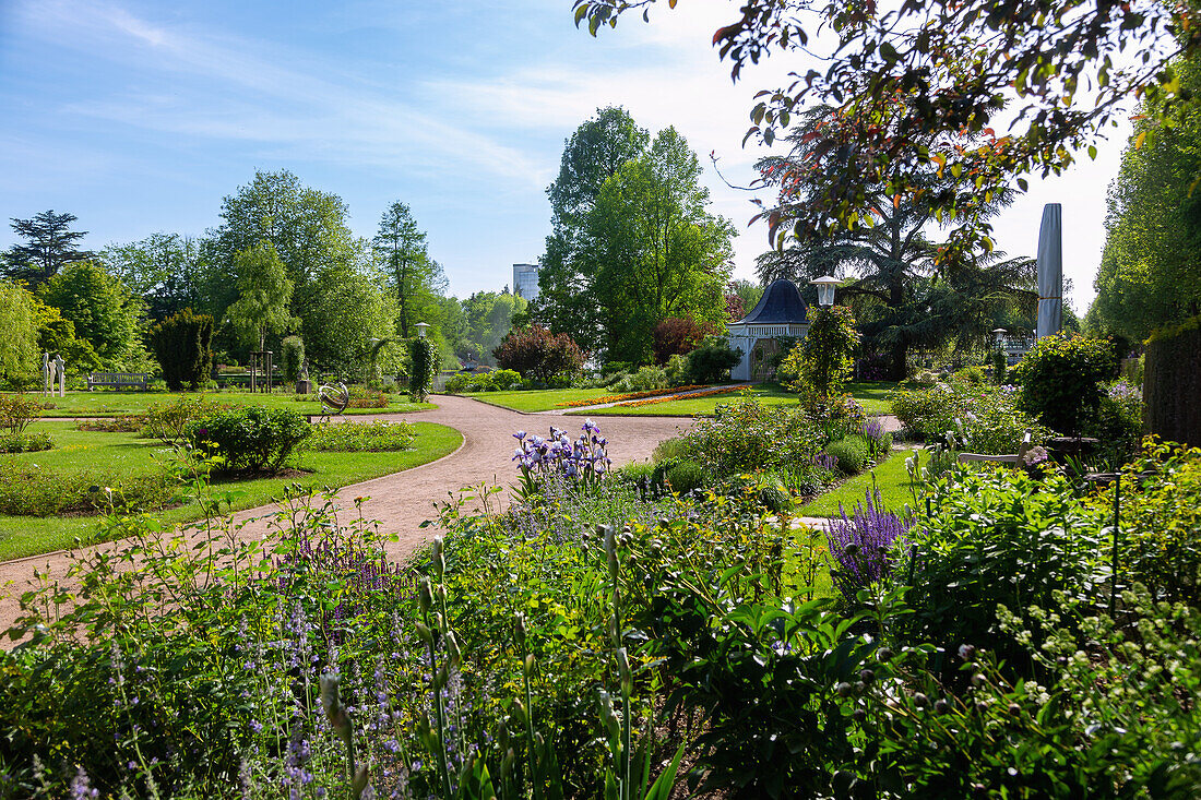 Rose Garden in Zweibruecken, Rhineland-Palatinate, Germany