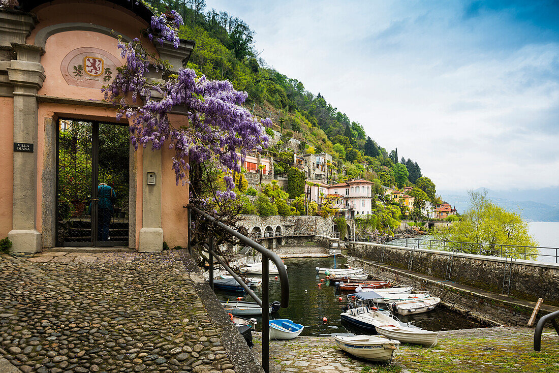 Cannero Riviera, Lago Maggiore, Provinz Verbano-Cusio-Ossola, Region Piemont, Italien