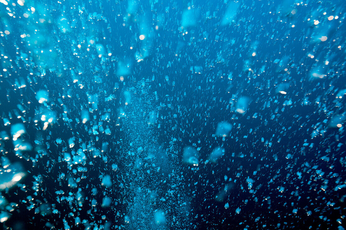 Aufsteigende Luftblasen, Felidhu Atoll, Indischer Ozean, Malediven