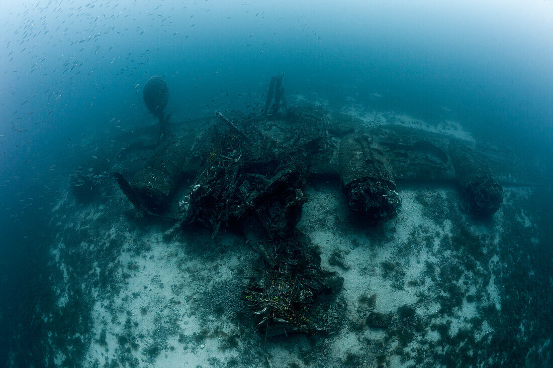 B-24 Liberator Bomber Wrack, Insel Vis, Mittelmeer, Kroatien