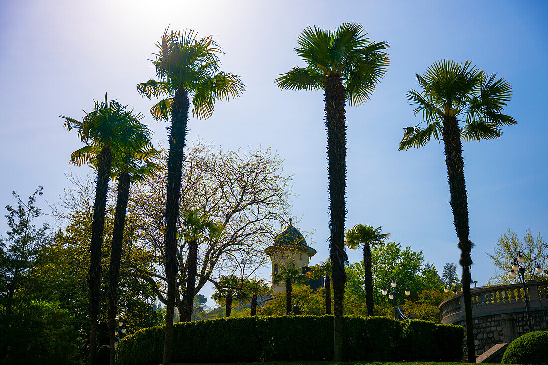 Schöner Park mit Palmen und Sonnenlicht in der Stadt Lugano an einem sonnigen Tag im Tessin, Schweiz.